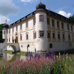 Obrázek