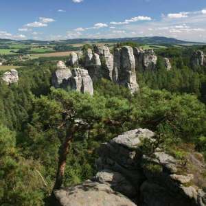 Obrázek