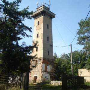 Obrázek