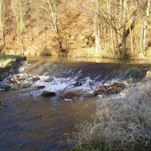 Obrázek