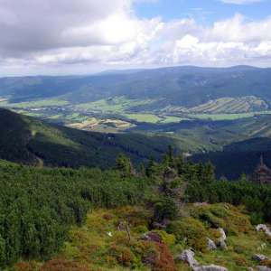 Obrázek