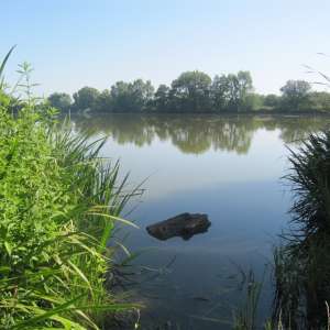 Obrázek