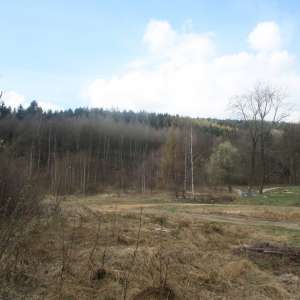 Obrázek