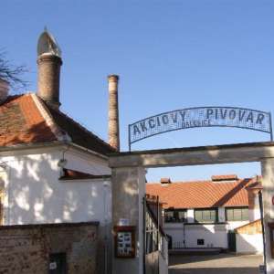 Obrázek
