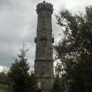Obrázek