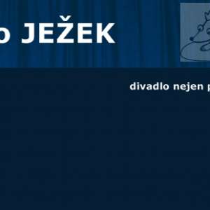 Obrázek