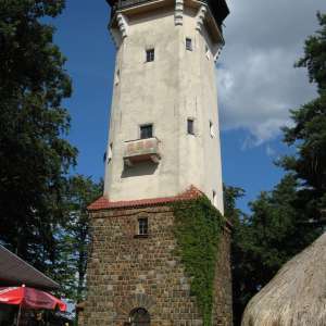 Obrázek
