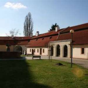 Obrázek
