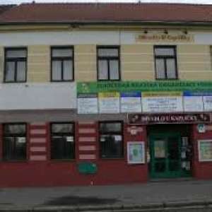 Obrázek