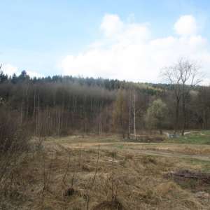 Obrázek