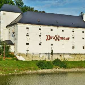Obrázek