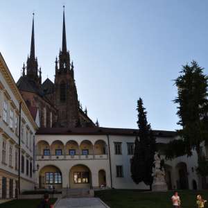 Obrázek