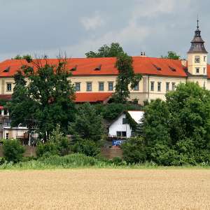 Obrázek