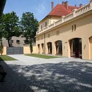 Obrázek