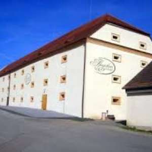 Obrázek