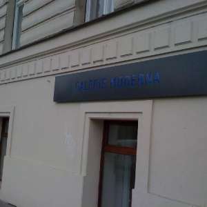 Obrázek