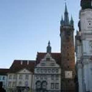 Obrázek