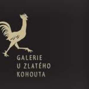 Obrázek