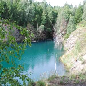 Obrázek