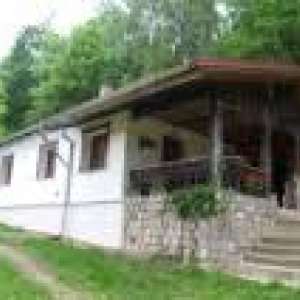 Obrázek