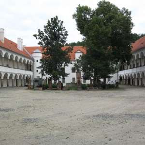 Obrázek