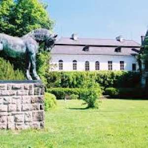 Obrázek