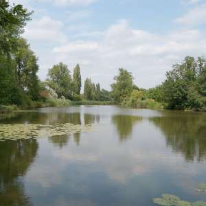 Obrázek