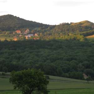 Obrázek