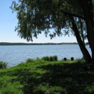Obrázek