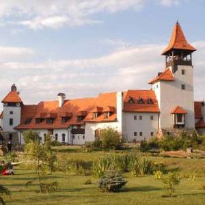 Obrázek