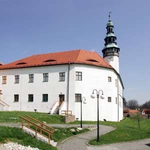 Obrázek