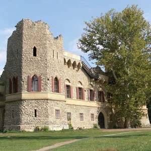 Obrázek