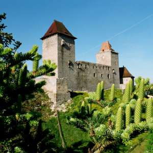 Obrázek