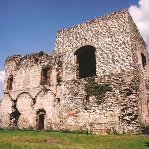 Obrázek