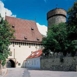 Obrázek