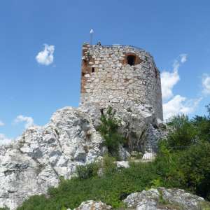Obrázek