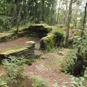Obrázek