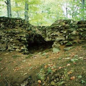 Obrázek