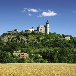 Obrázek