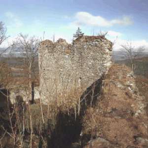 Obrázek