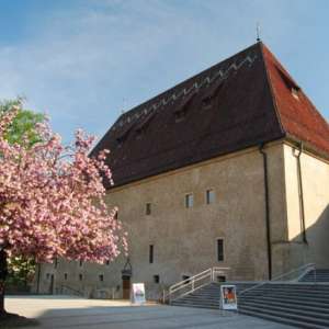 Obrázek