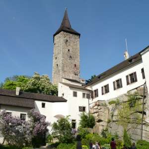 Obrázek