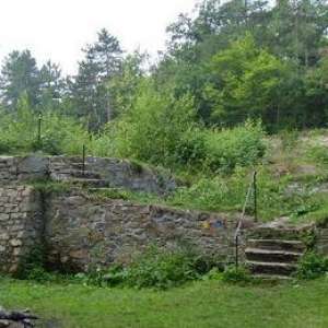 Obrázek