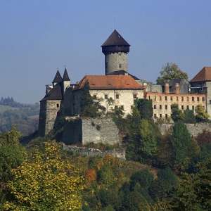 Obrázek