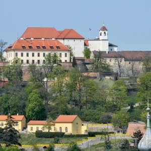 Obrázek