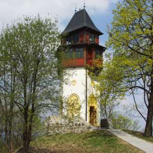 Obrázek