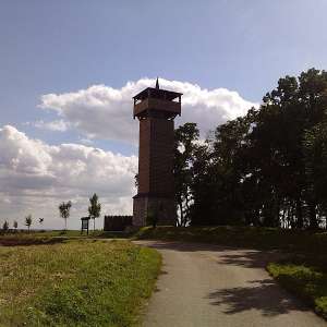 Obrázek