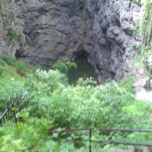 Obrázek