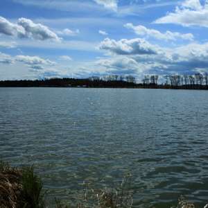 Obrázek