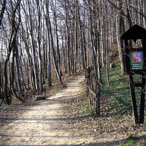Obrázek